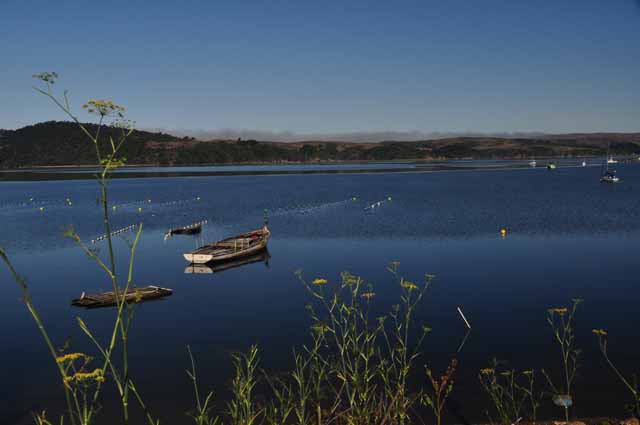 Tomales Bay